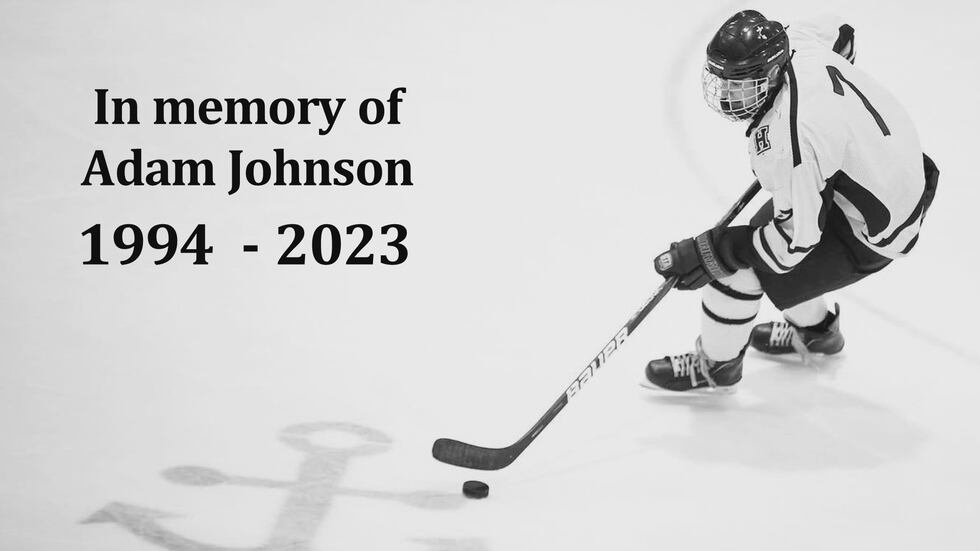Hibbing native Adam Johnson was playing hockey overseas for the Nottingham Panthers. In a game...