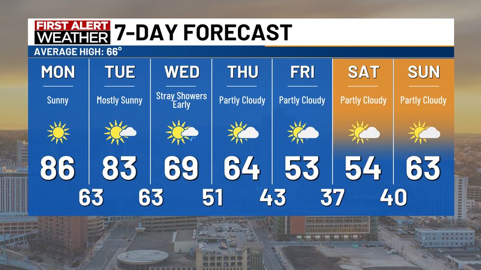 7-day forecast
