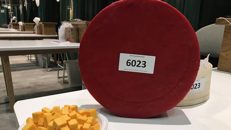 US Championship Cheese Contest wheel of cheese and curds from 2019