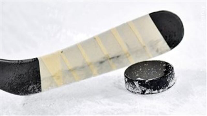 Hockey puck