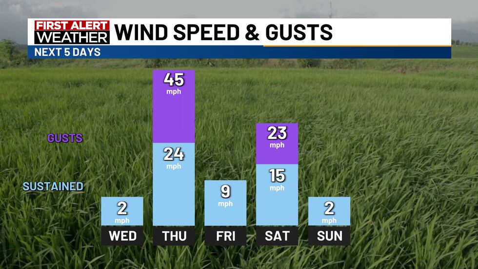 Wind speeds and gusts