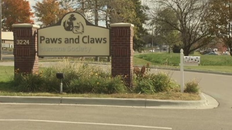 Paws and Claws Humane Society in Rochester.