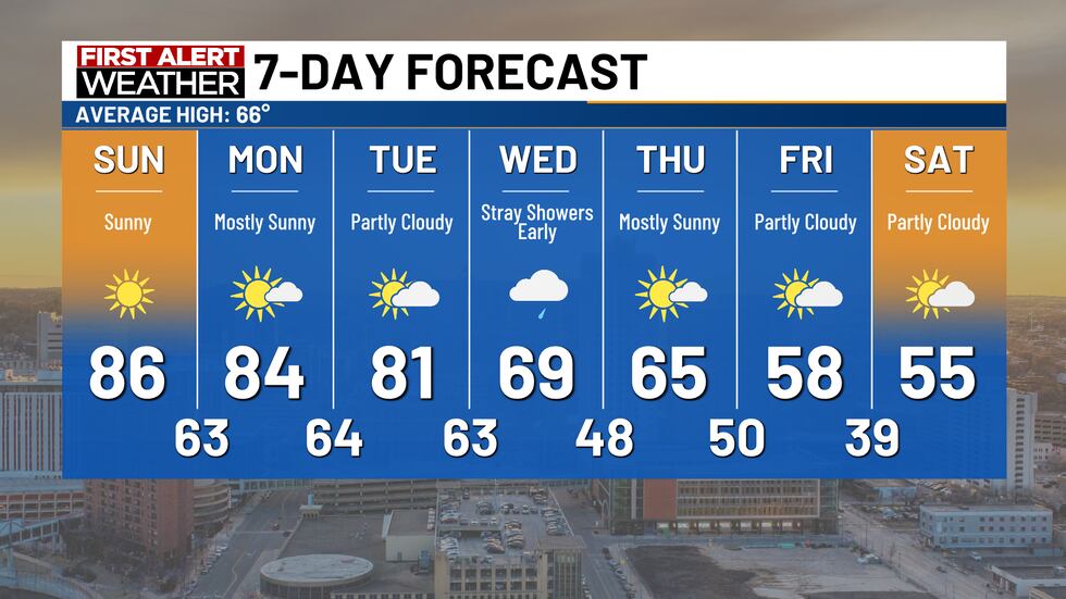 7-day forecast