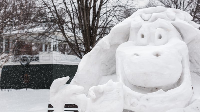 Owatonna’s signature winter festival called “Bold and Cold” kicks off today and runs through...
