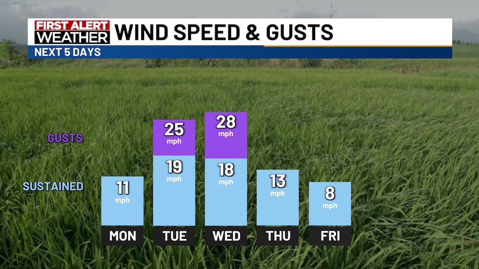 Wind speeds next 5 days